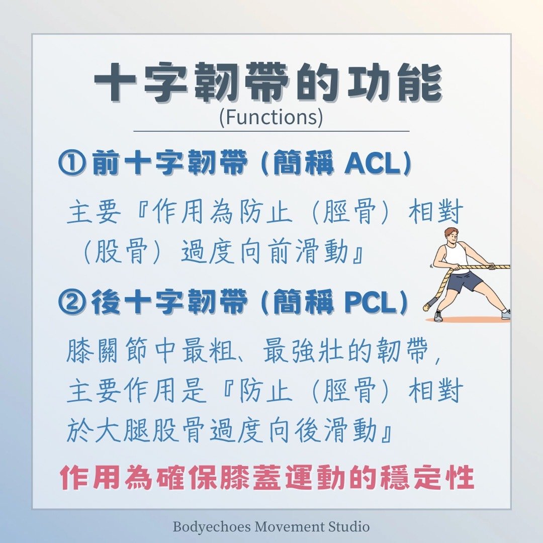 📍《身語小學堂》十字韌帶損傷（ACL）｜運動篇｜我還能回場嗎？ 圖片 2