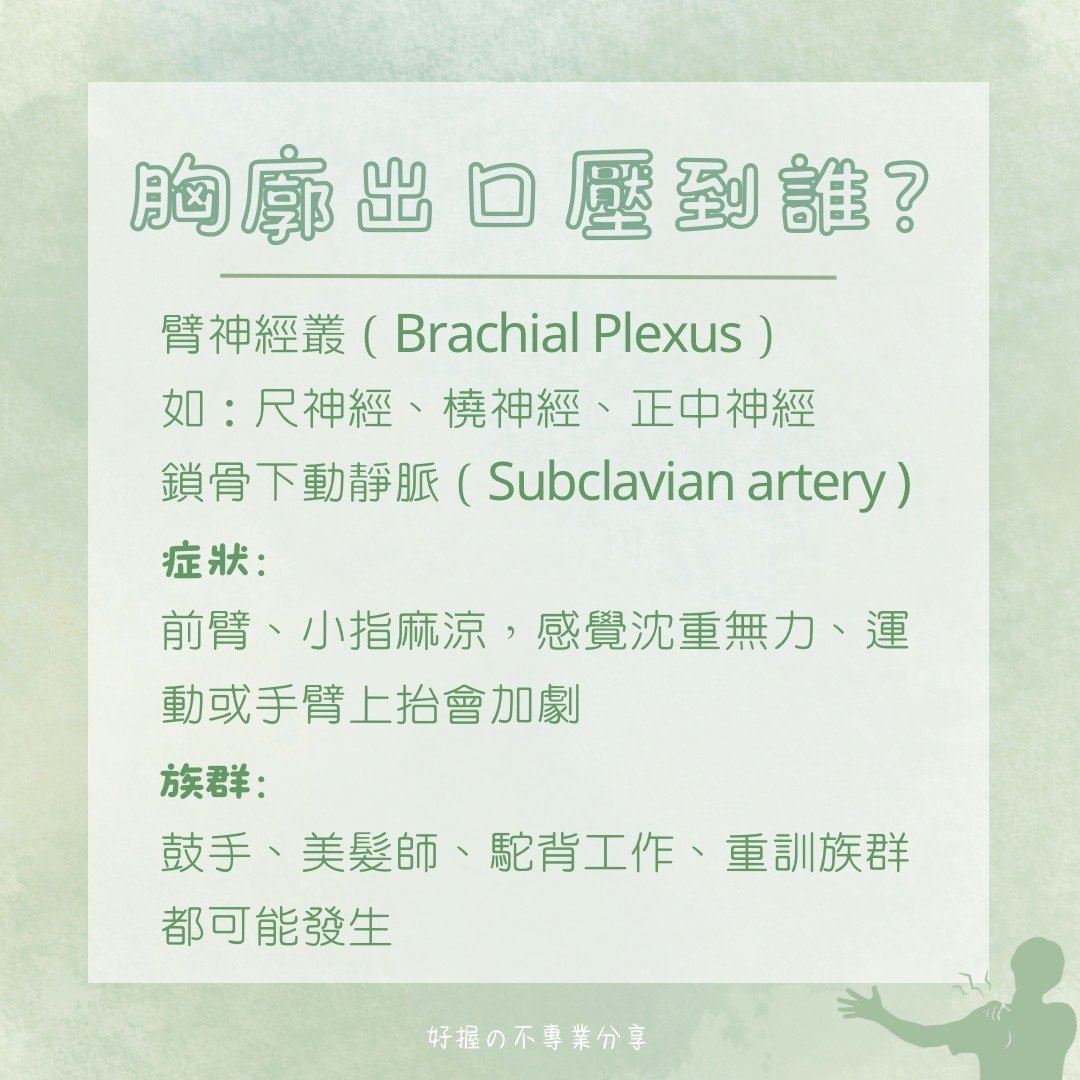 🔸 《身語小學堂》生理篇｜手臂刺刺麻麻的？ 圖片 3