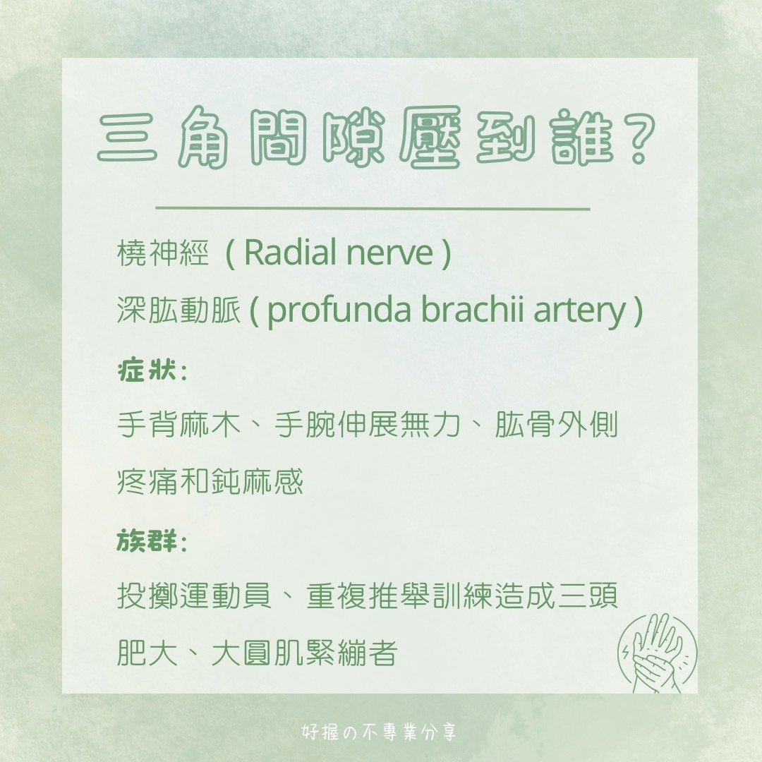 🔸 《身語小學堂》生理篇｜手臂刺刺麻麻的？ 圖片 5