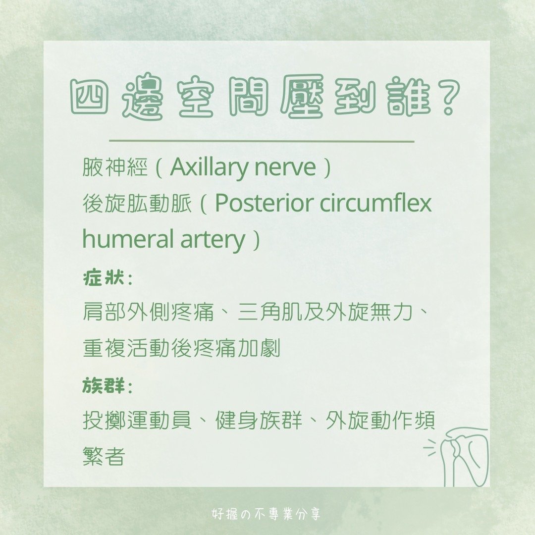 🔸 《身語小學堂》生理篇｜手臂刺刺麻麻的？ 圖片 7