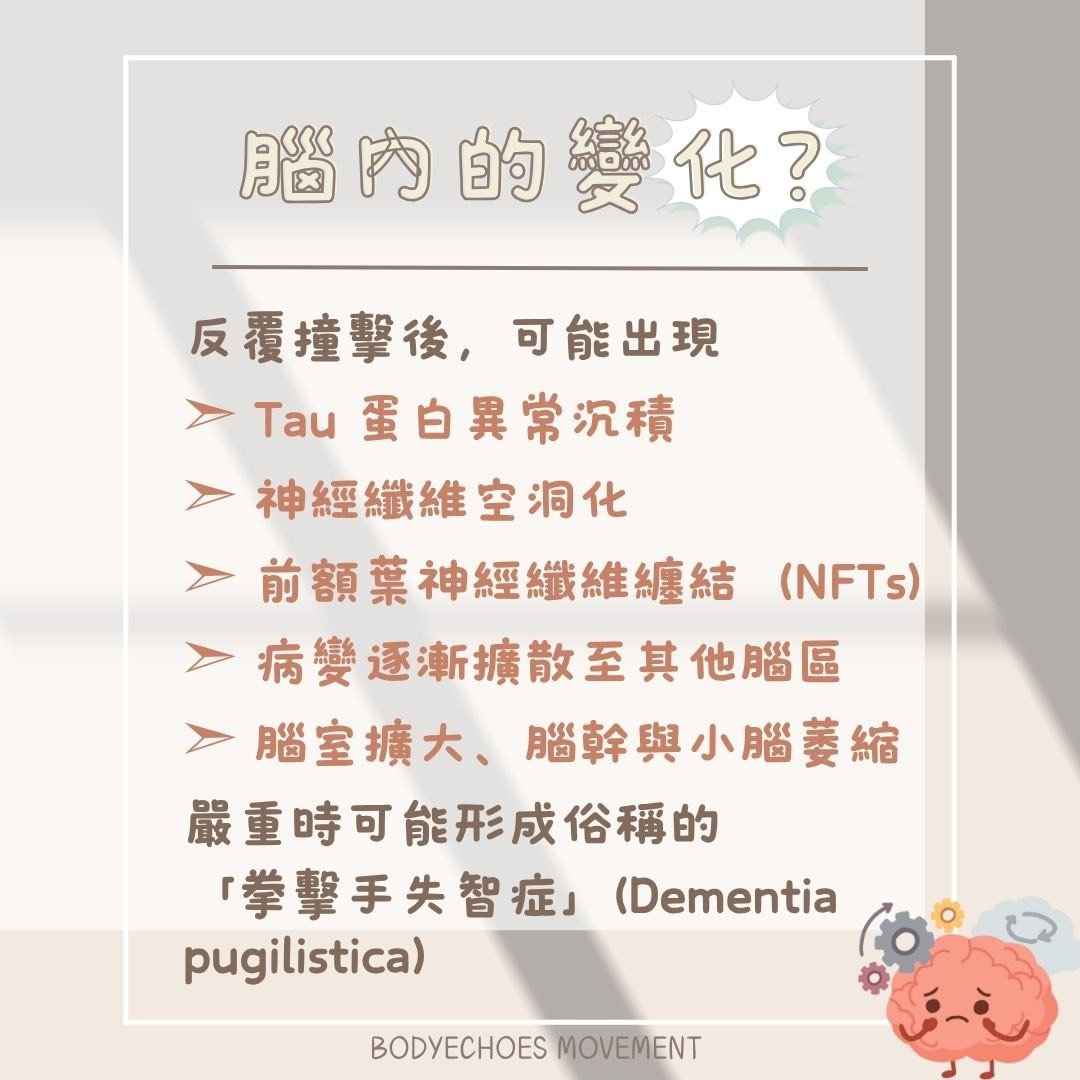 📍身語小學堂《慢性創傷性腦病變（CTE）與腦震盪》 圖片 2