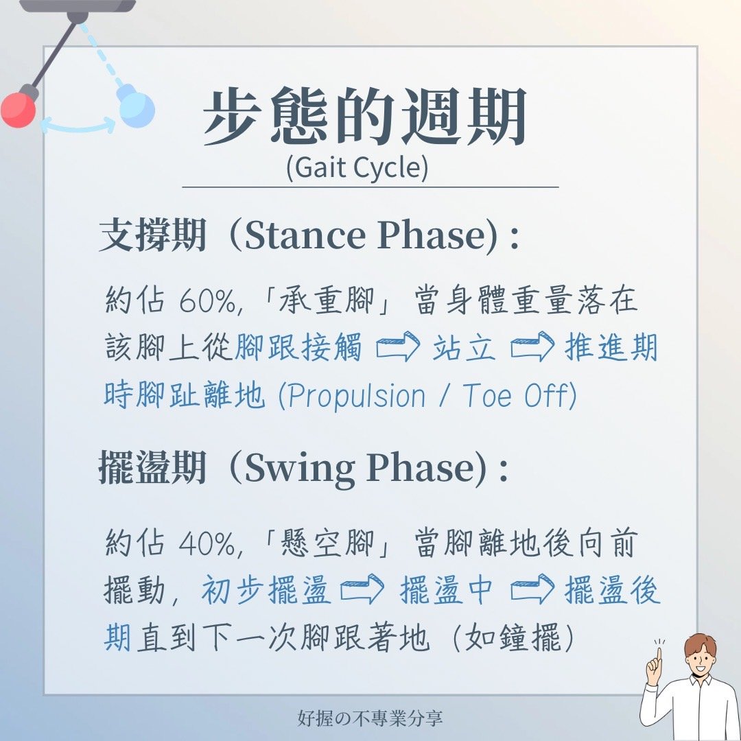 📍《身語小學堂》步態密碼｜運動篇 圖片 3