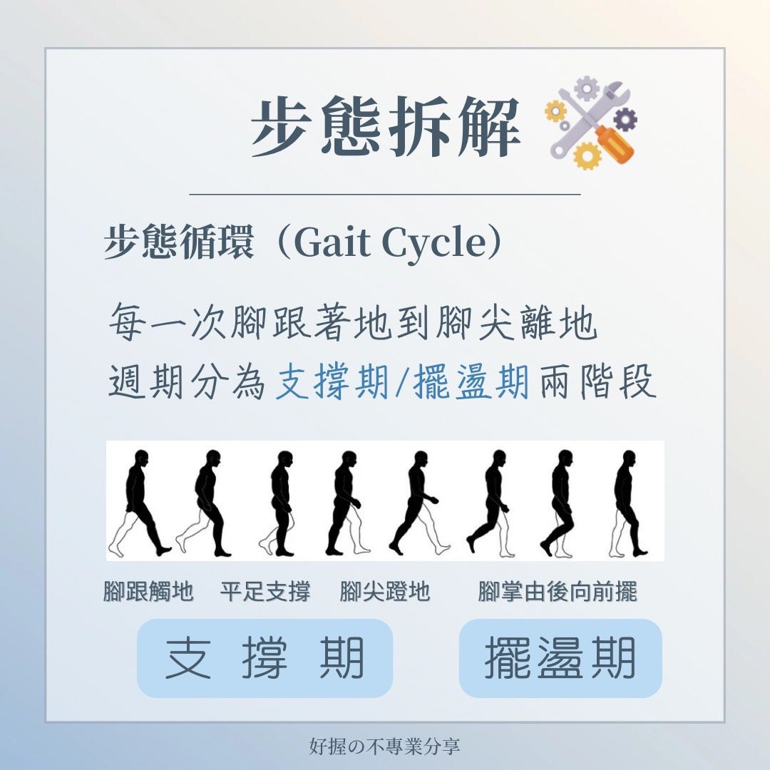 📍《身語小學堂》步態密碼｜運動篇 圖片 4