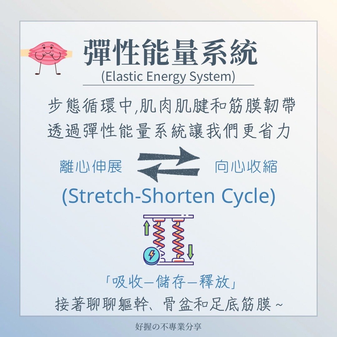 📍《身語小學堂》步態密碼｜運動篇 圖片 5