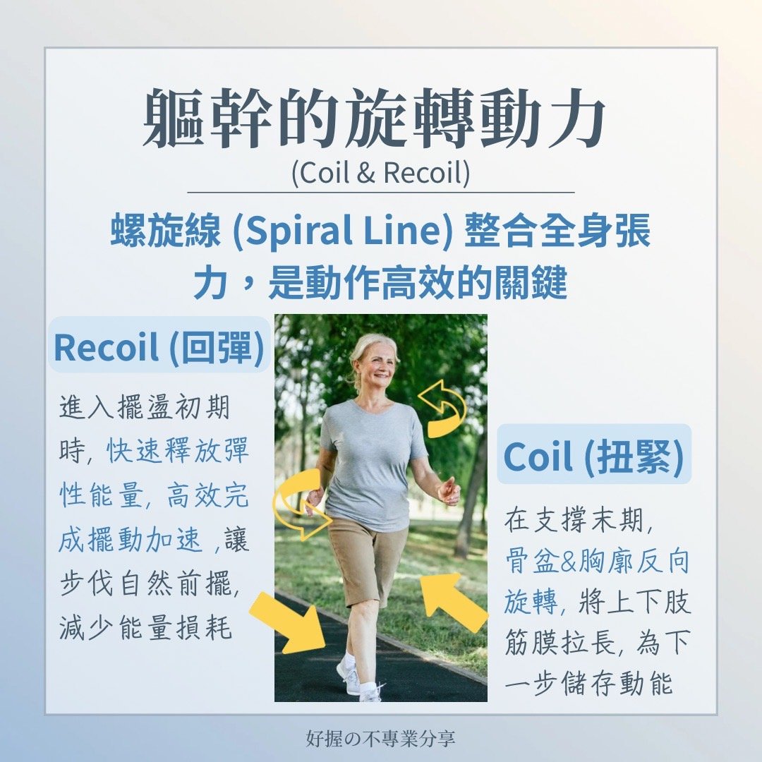 📍《身語小學堂》步態密碼｜運動篇 圖片 6