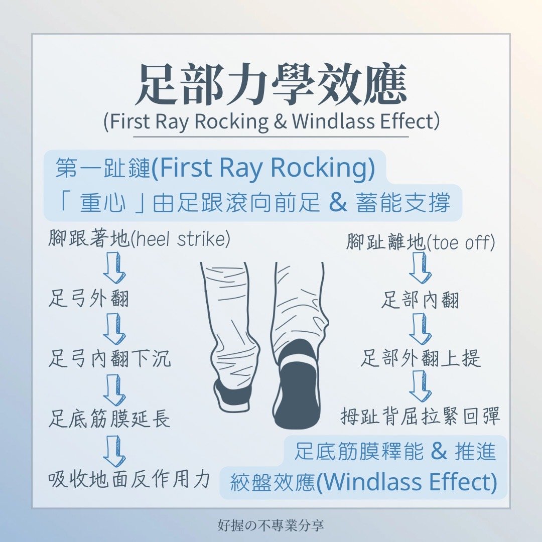 📍《身語小學堂》步態密碼｜運動篇 圖片 7