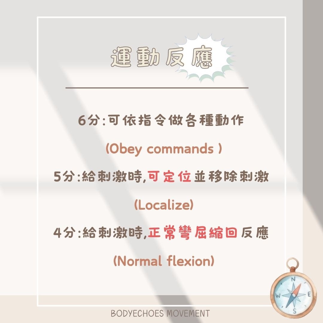 📍《身語小學堂》 昏迷指數是什麼？ 圖片 6