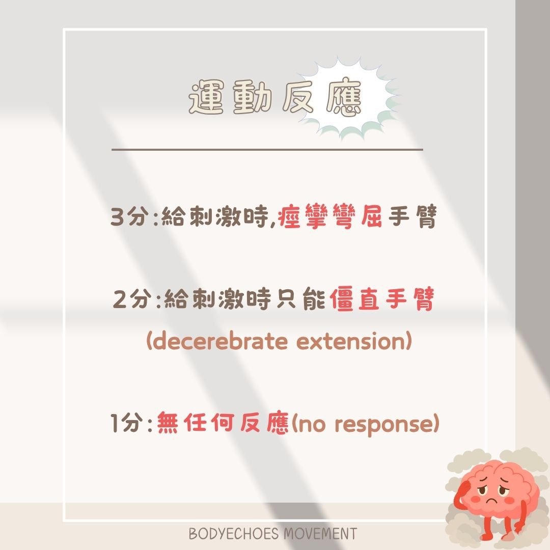 📍《身語小學堂》 昏迷指數是什麼？ 圖片 7