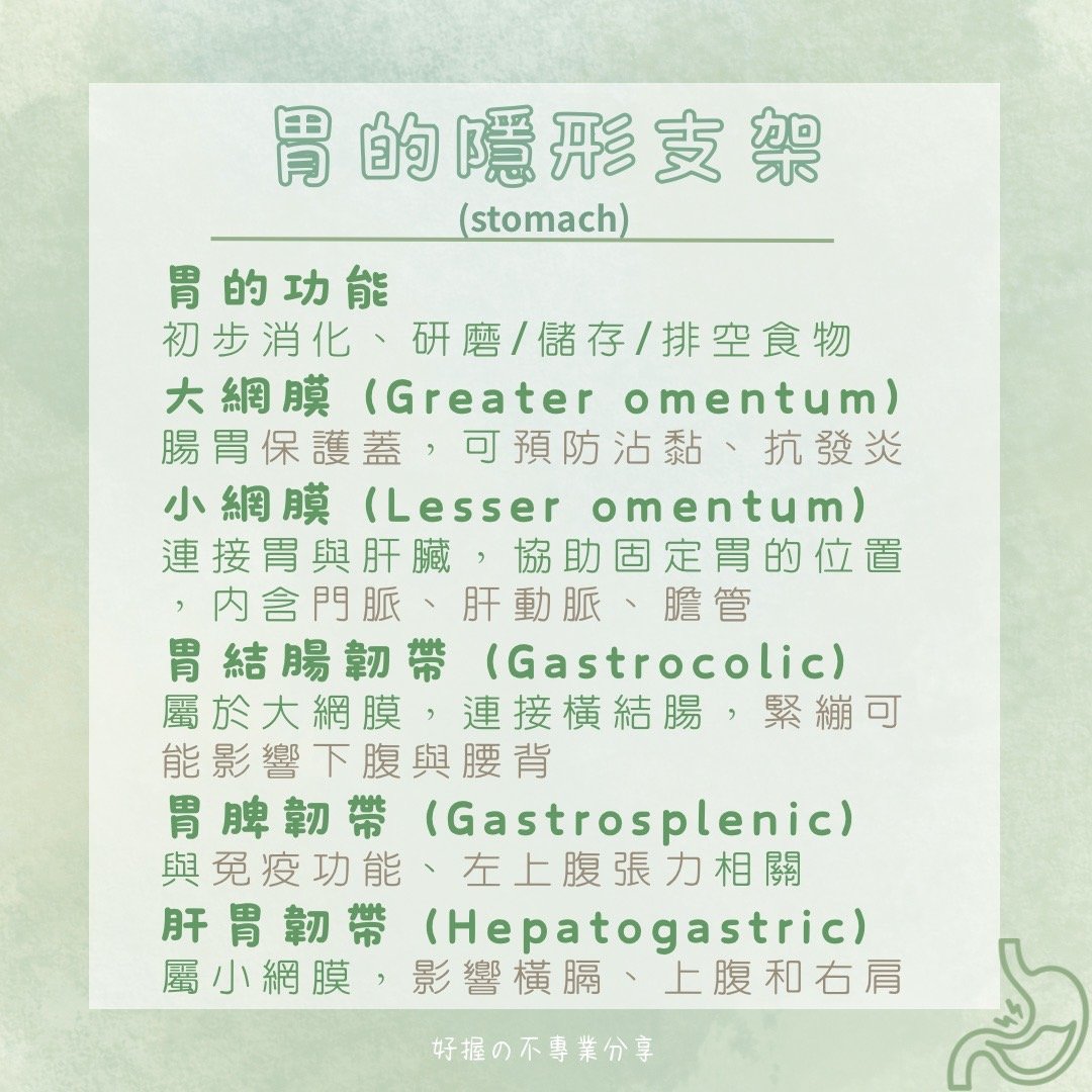 📍 《身語小學堂》內臟失衡與身體反應（消化系統篇） 圖片 3