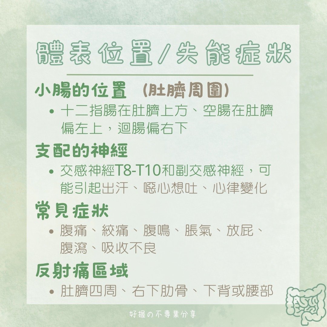 📍 《身語小學堂》內臟失衡與身體反應（消化系統篇） 圖片 6
